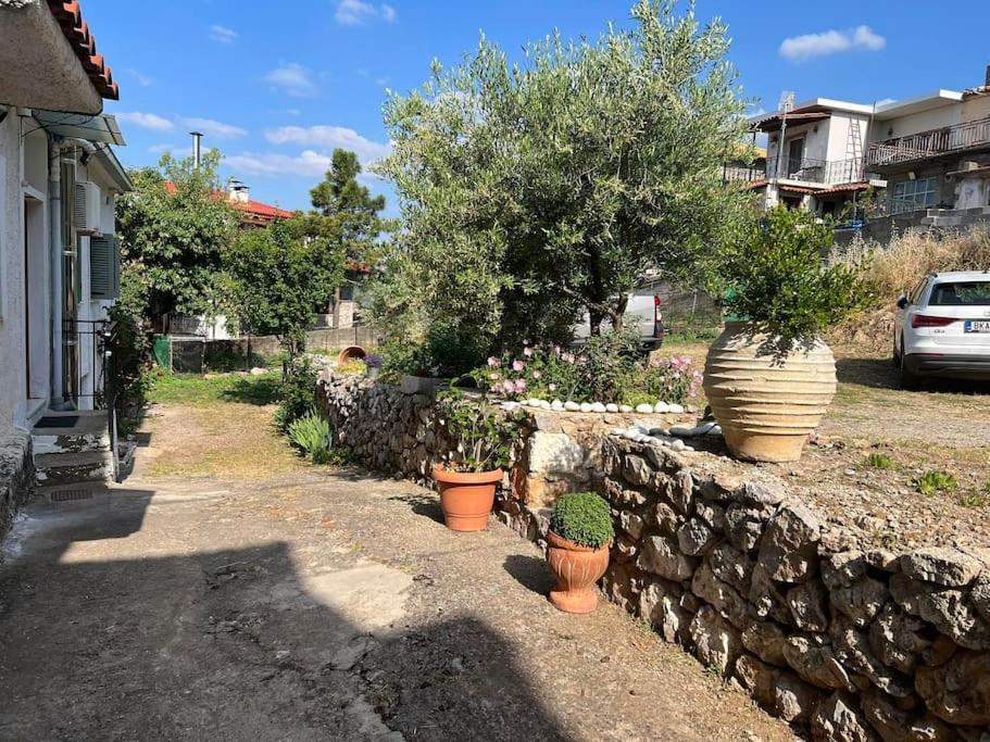 Guesthouse Simou With View 3 Bedrooms Арахова Екстериор снимка
